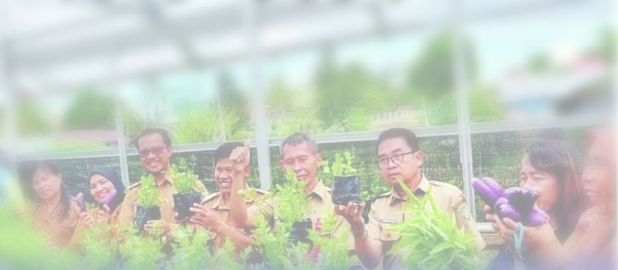 Secondary News Image